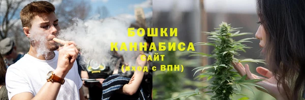 шишки Абдулино