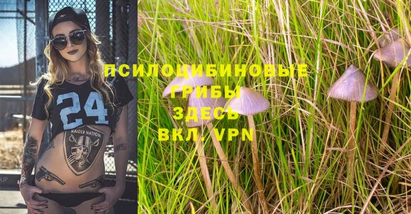 шишки Абдулино