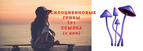 шишки Абдулино