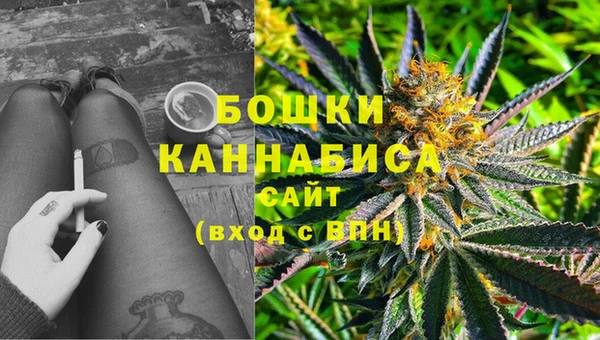 шишки Абдулино