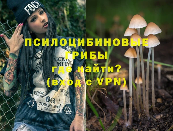 шишки Абдулино