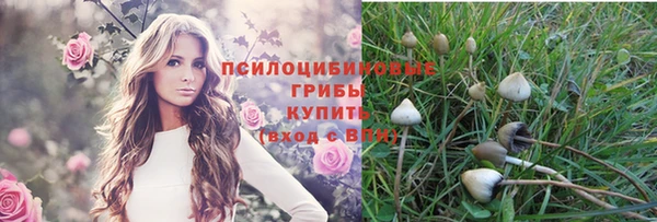 прущие крисы Абаза